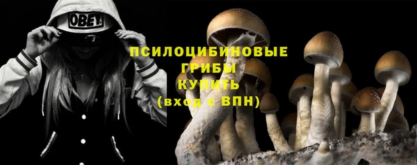 apvp Абинск