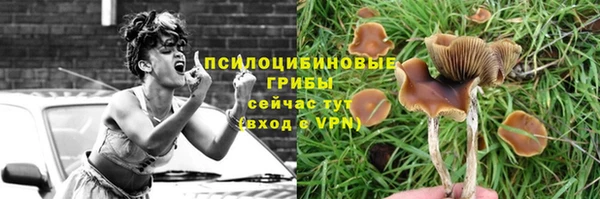 apvp Абинск